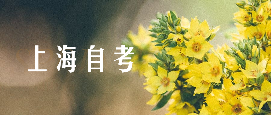 上海市成人自考文凭如何?